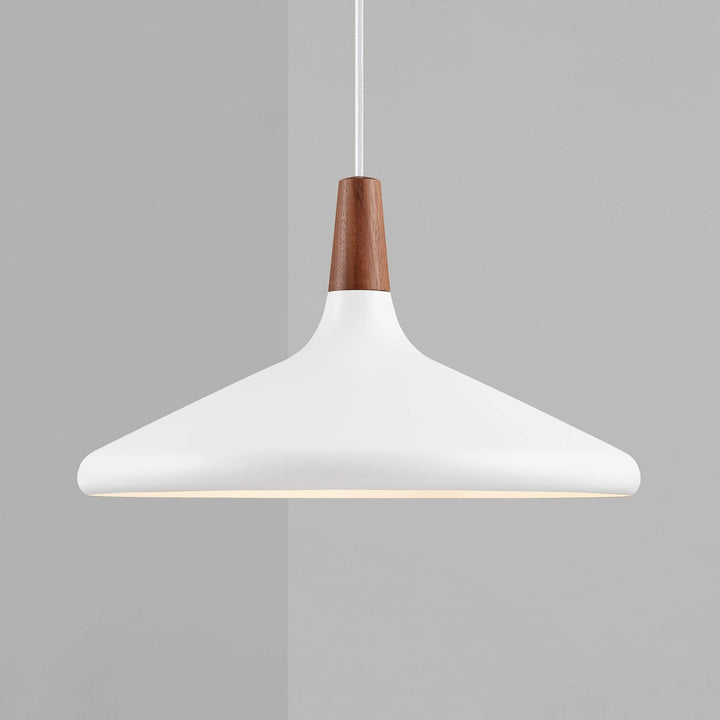 Minimalist Pendant Ceiling Light Decorative Hanging Light