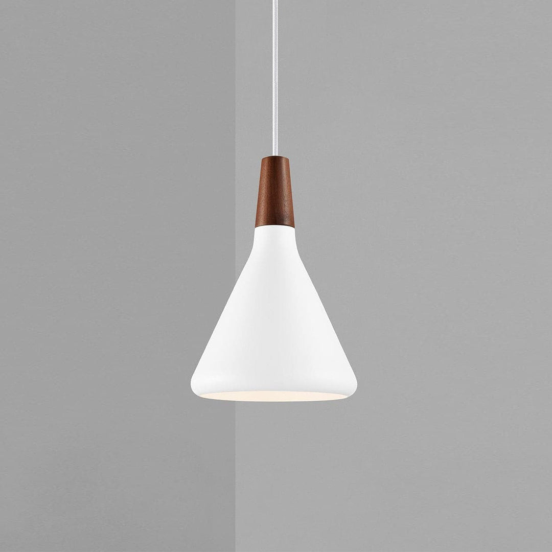 Minimalist Pendant Ceiling Light Decorative Hanging Light