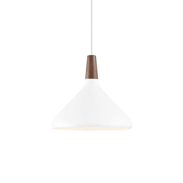 Minimalist Pendant Ceiling Light Decorative Hanging Light