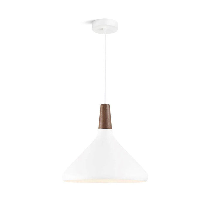 Minimalist Pendant Ceiling Light Decorative Hanging Light