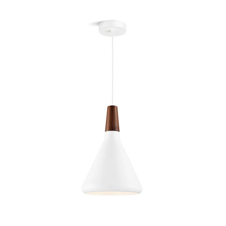 Minimalist Pendant Ceiling Light Decorative Hanging Light