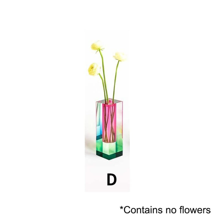 Colourful Decorative Plant Pots with Clear Finish