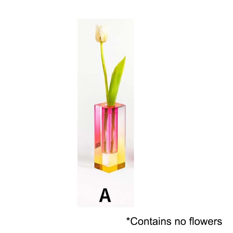 Colourful Decorative Plant Pots with Clear Finish