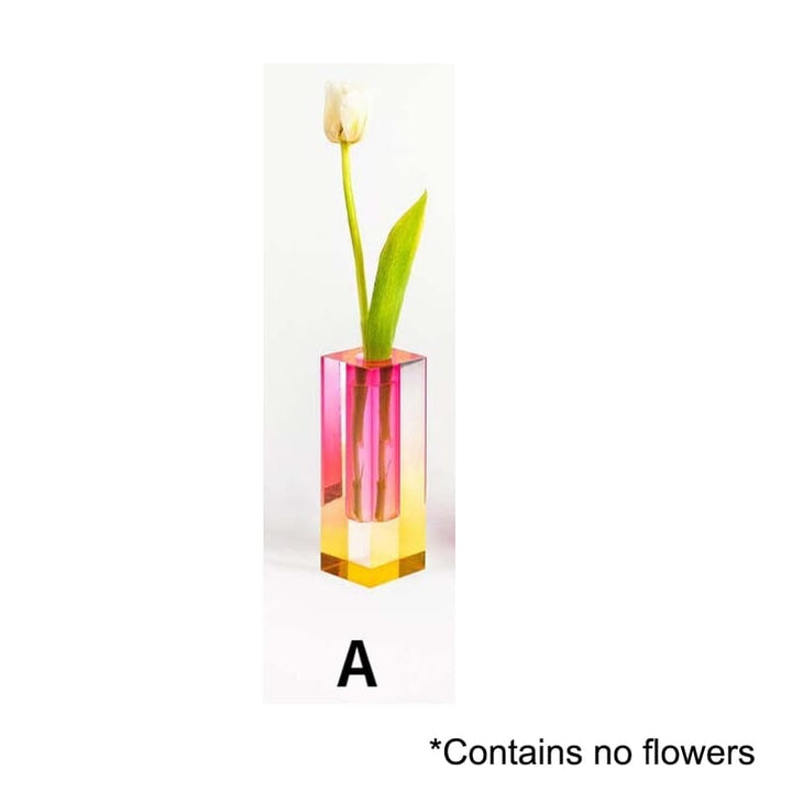 Colourful Decorative Plant Pots with Clear Finish