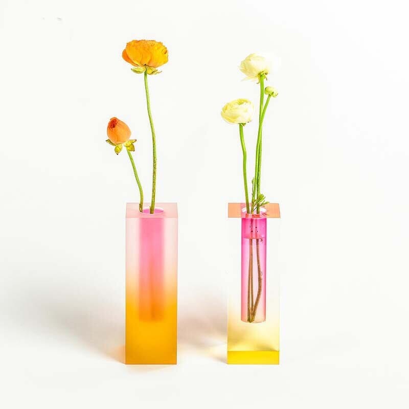 Colourful Decorative Plant Pots with Clear Finish