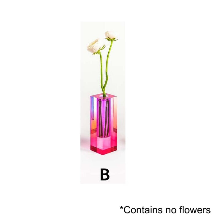 Colourful Decorative Plant Pots with Clear Finish