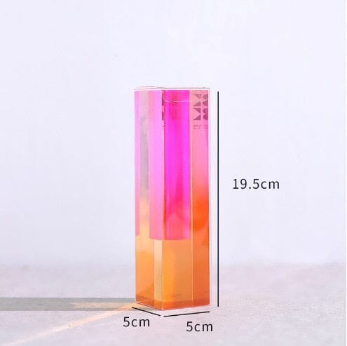 Colourful Decorative Plant Pots with Clear Finish