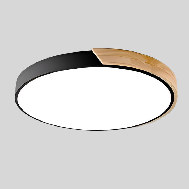 Modern Flush Mount Ceiling Light Round LED Indoor Lighting