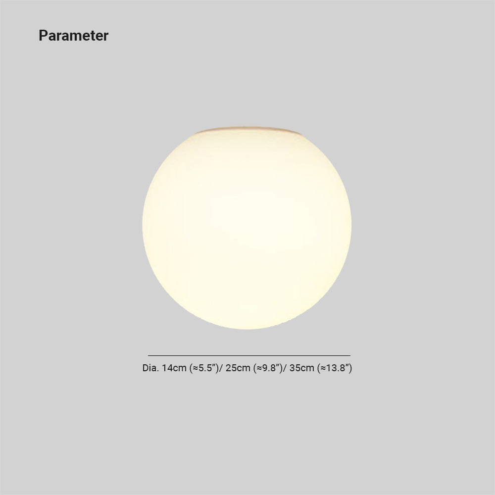 Round Globe Ceiling Light Contemporary Indoor Lighting