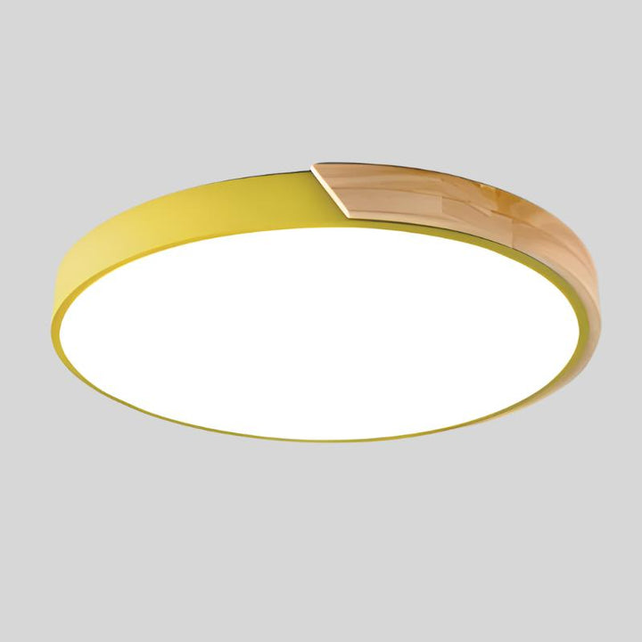 Modern Flush Mount Ceiling Light Round LED Indoor Lighting