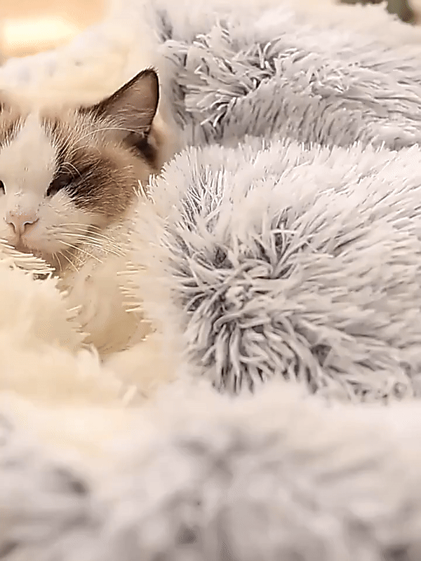 Round Hooded Dog Bed for Anxiety & Deep Sleep