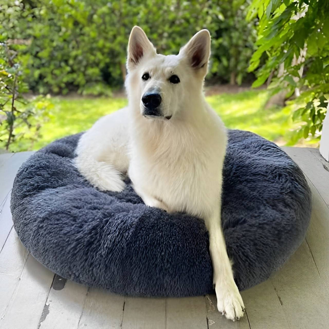 Chew Resistant Calming Dog Bed with Cooling Design