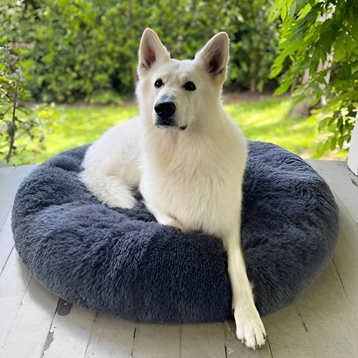 Chew Resistant Calming Dog Bed with Cooling Design