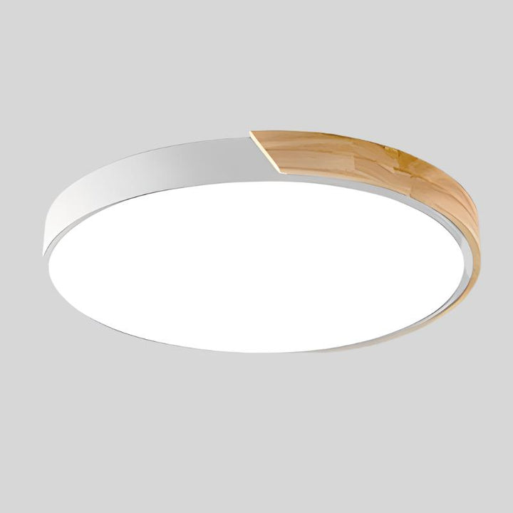 Modern Flush Mount Ceiling Light Round LED Indoor Lighting