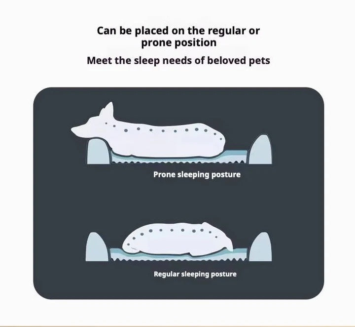 Car Back Seat Dog Bed with Non Slip Base