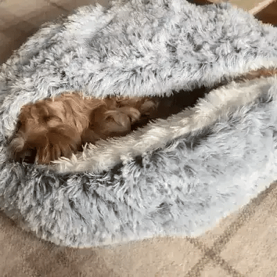 Round Hooded Dog Bed for Anxiety & Deep Sleep