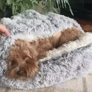 Round Hooded Dog Bed for Anxiety & Deep Sleep