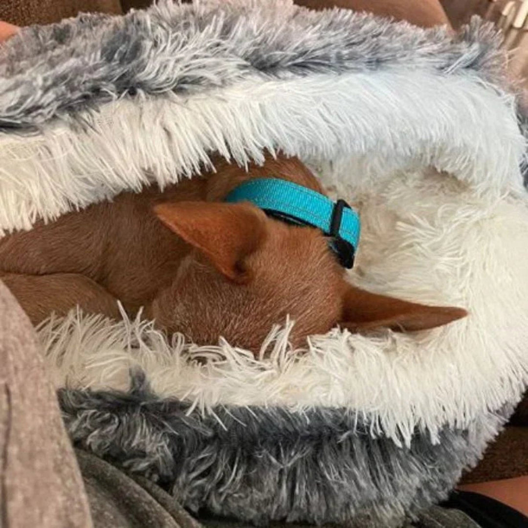 Round Hooded Dog Bed for Anxiety & Deep Sleep