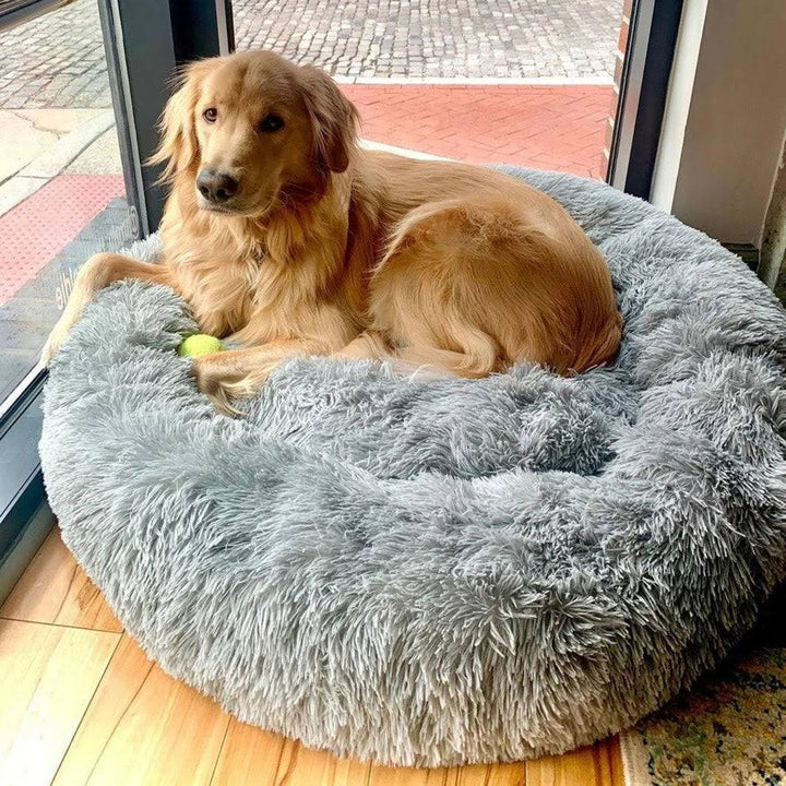 Chew Resistant Calming Dog Bed with Cooling Design
