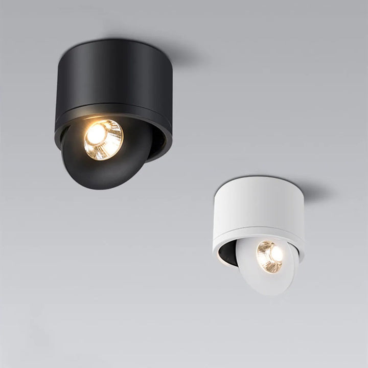 Rotating Ceiling Spotlight Modern Surface Mounted Light
