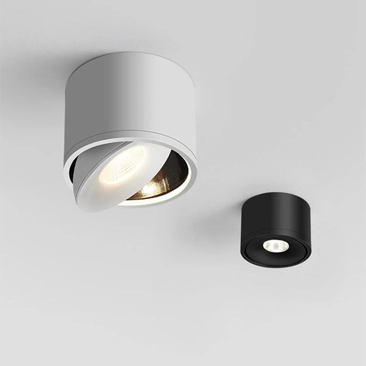 Rotating Ceiling Spotlight Modern Surface Mounted Light
