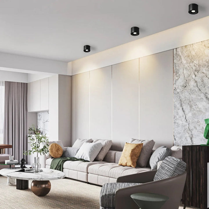 Rotating Ceiling Spotlight Modern Surface Mounted Light