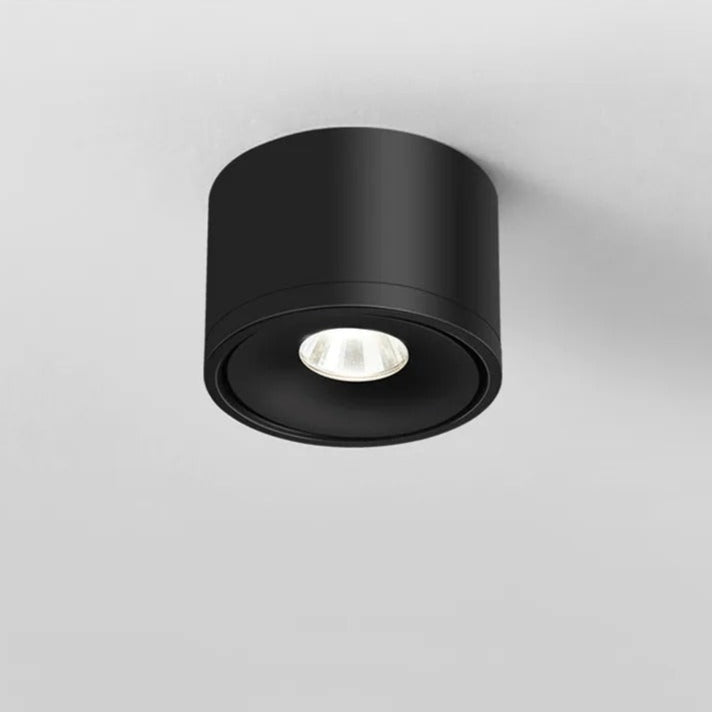 Rotating Ceiling Spotlight Modern Surface Mounted Light
