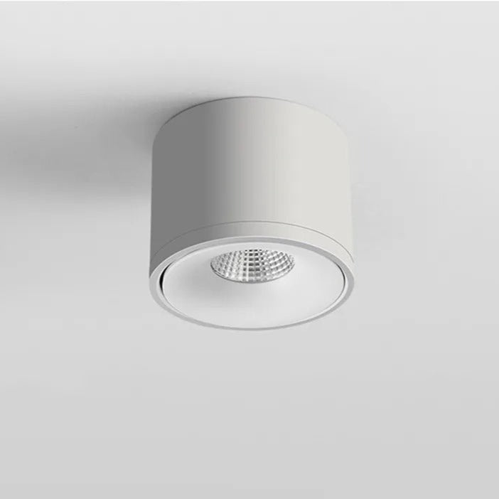 Rotating Ceiling Spotlight Modern Surface Mounted Light