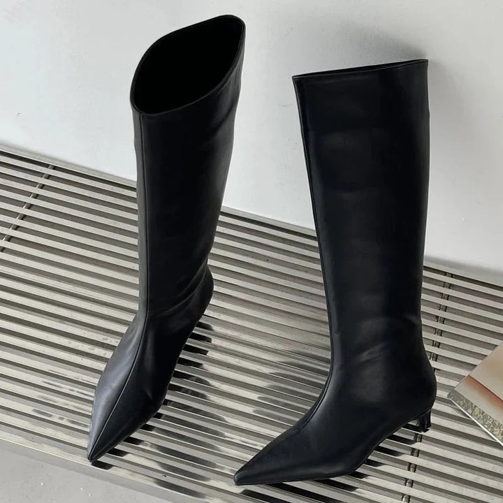 Hohe Stiefel Mit Spitzer Zehenpartie | Knielang