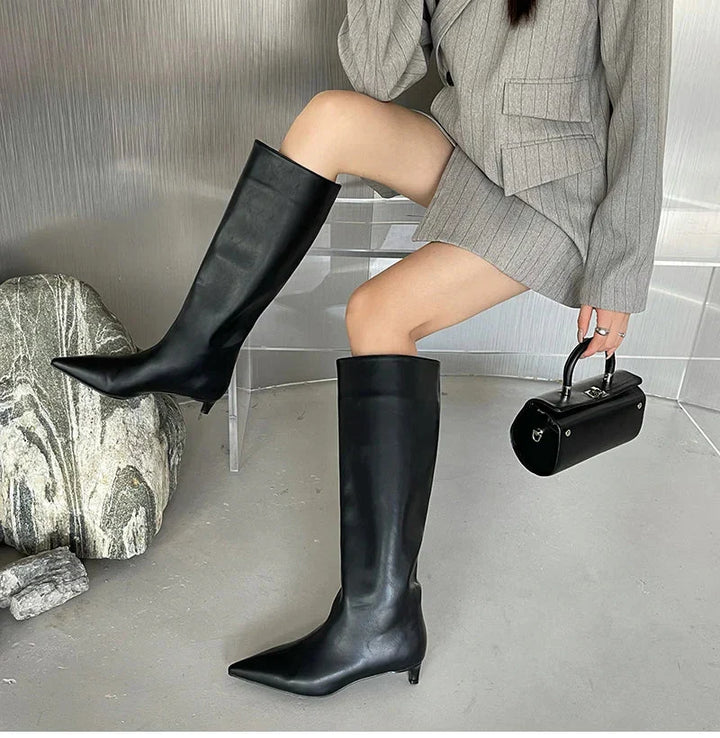 Hohe Stiefel Mit Spitzer Zehenpartie | Knielang