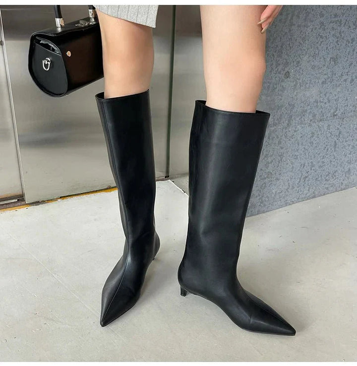 Hohe Stiefel Mit Spitzer Zehenpartie | Knielang
