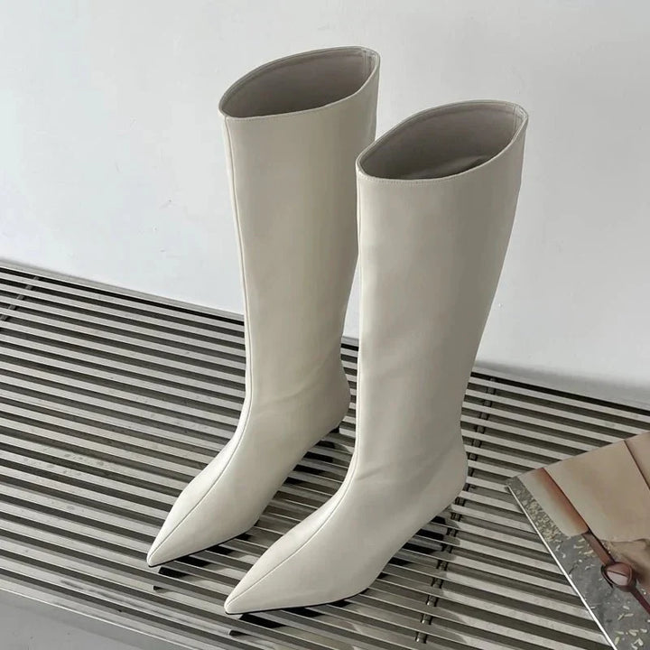 Hohe Stiefel Mit Spitzer Zehenpartie | Knielang