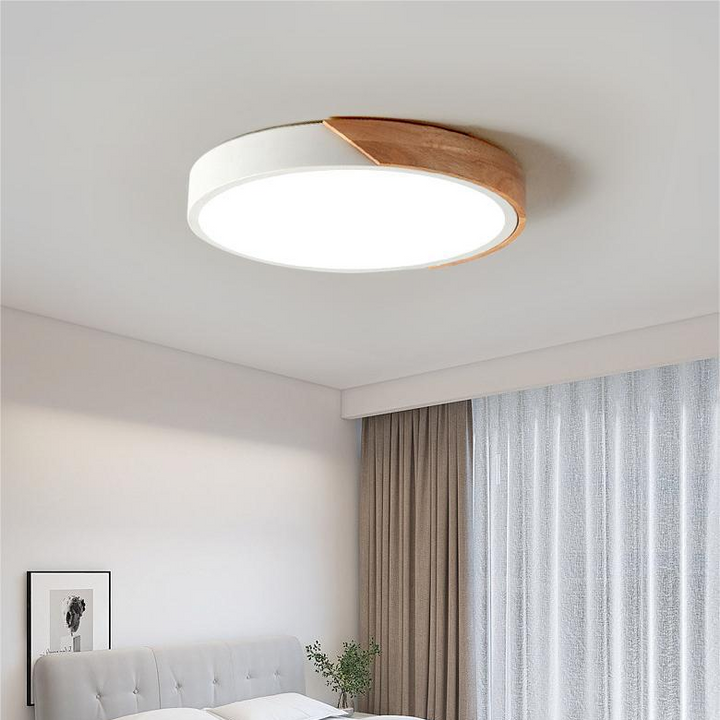 Modern Flush Mount Ceiling Light Round LED Indoor Lighting