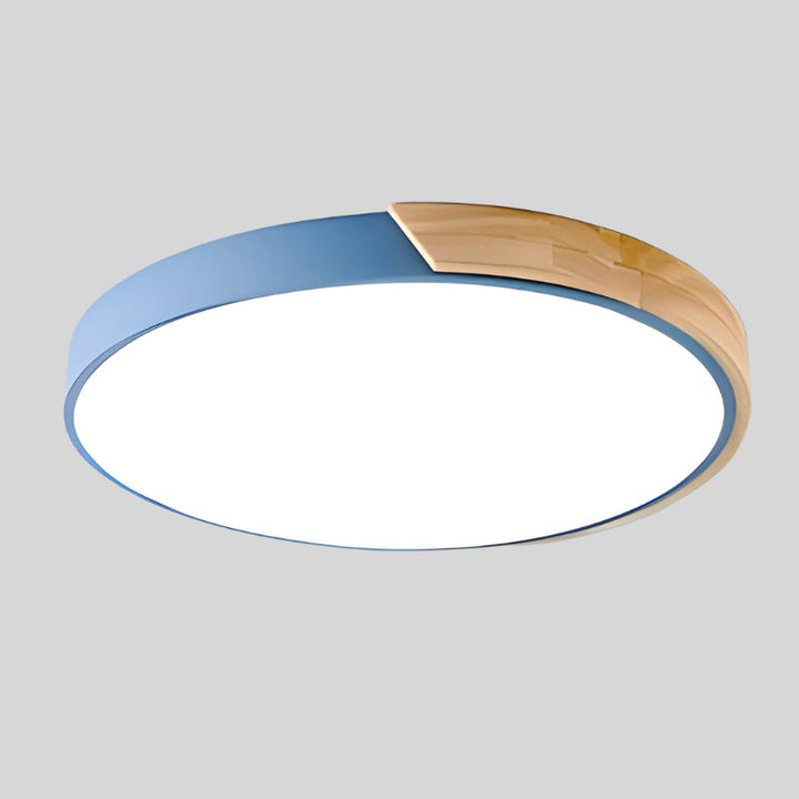 Modern Flush Mount Ceiling Light Round LED Indoor Lighting