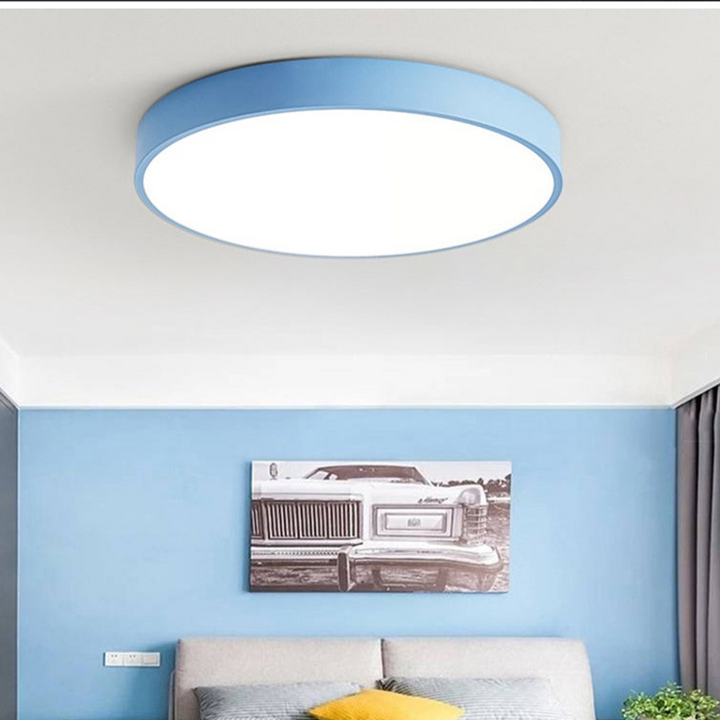 Modern Flush Mount Ceiling Light Round LED Indoor Lighting